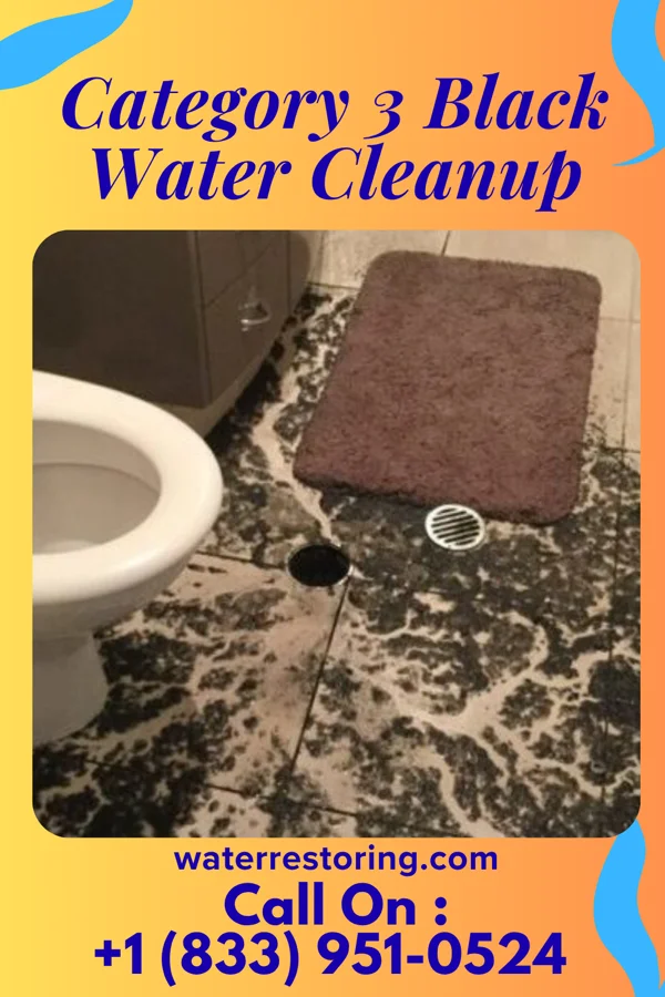 Category 3 Black Water Cleanup in Kane, IL
