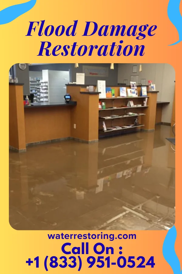 Flood Damage Restoration in Kane, IL