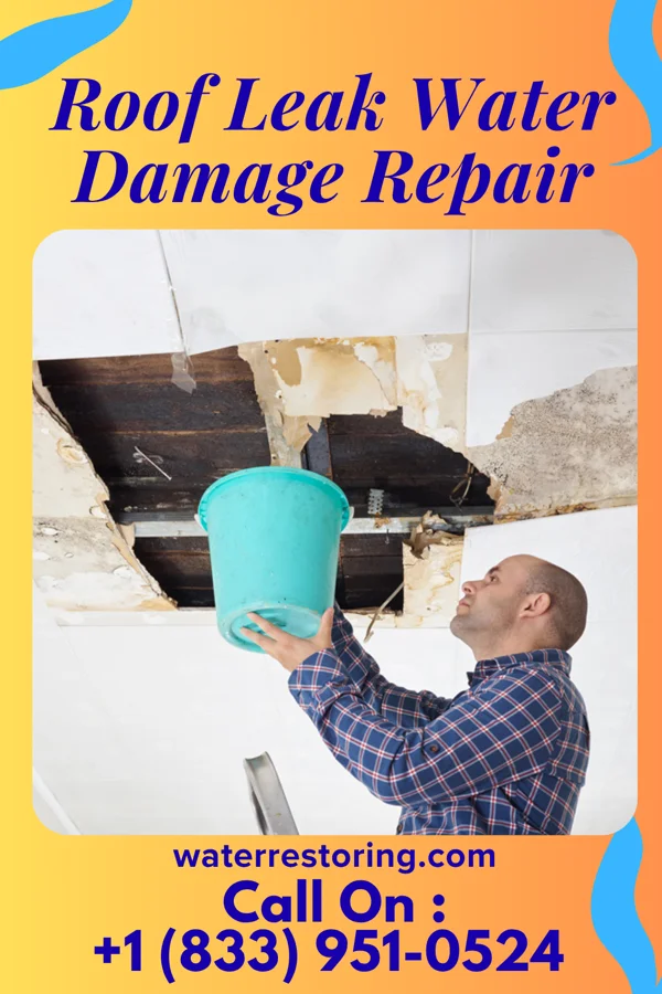 Roof Leak Water Damage Repair in Kane, IL