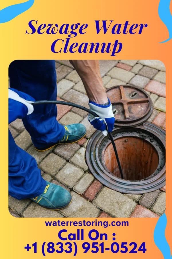 Sewage Water Cleanup in Kane, IL