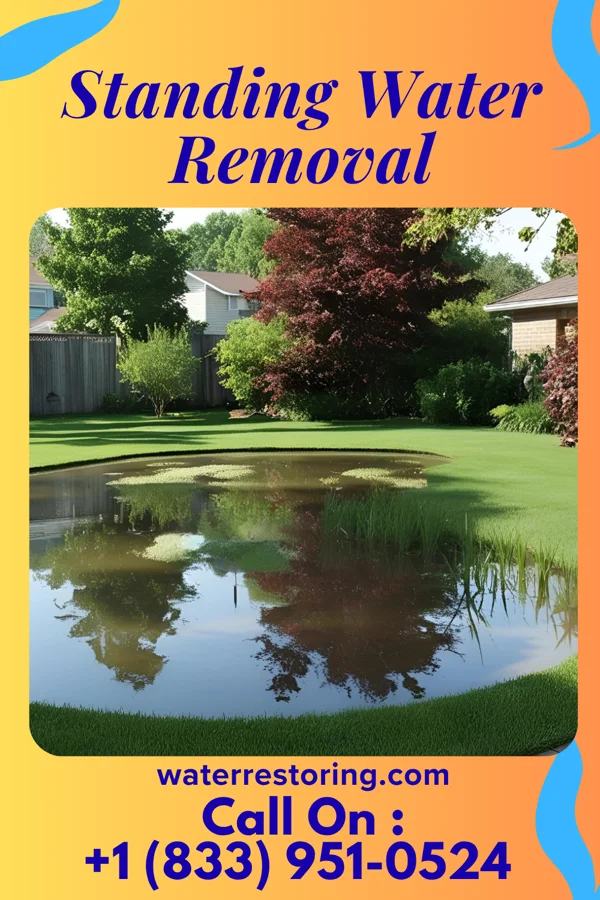 Standing Water Removal in Kane, IL